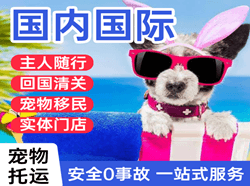 衡阳南岳航空空运国际宠物托运 【国